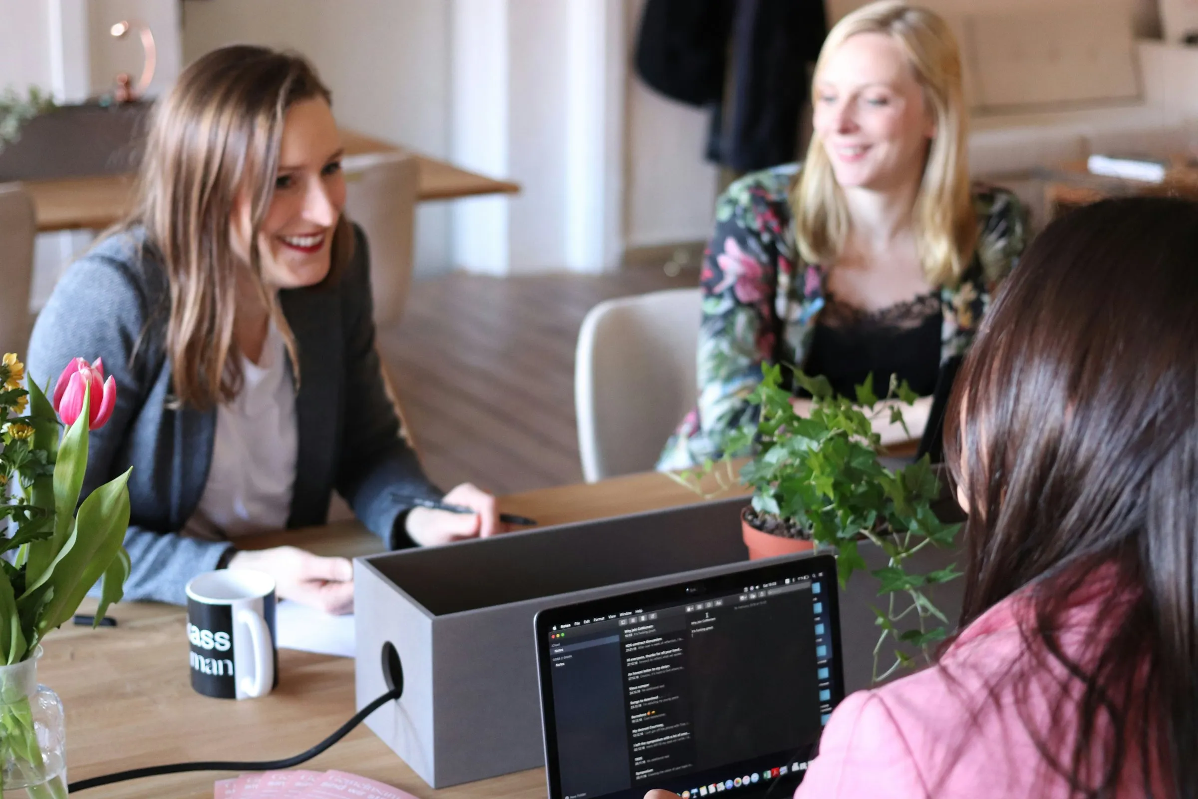 team using laptop
